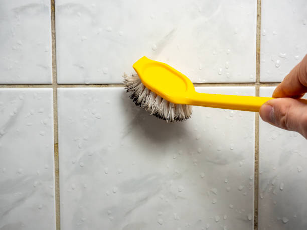Best Commercial Mold Removal  in Terra Bella, CA