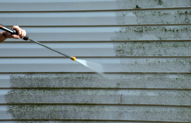 Best Mold Cleaning Services  in Terra Bella, CA