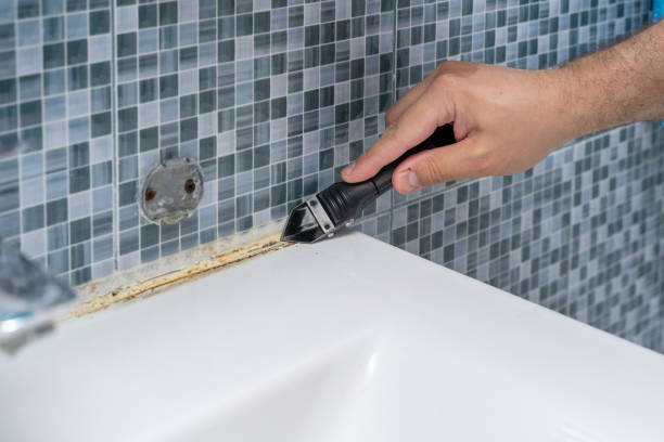 Best Mold Remediation  in Terra Bella, CA