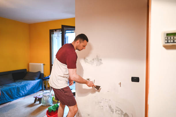 Best Affordable Mold Removal  in Terra Bella, CA